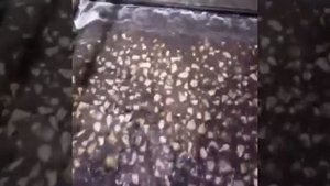 Сахар из сахарной свёклы от поля до магазина