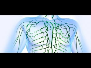 ЛУЧШИЕ НАРОДНЫЕ СРЕДСТВА ДЛЯ РАЗЖИЖЕНИЯ И УДАЛЕНИЯ СКОПЛЕНИЙ СЛИЗИ