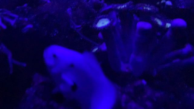 Ночь в минике 30 литров смотреть онлайн