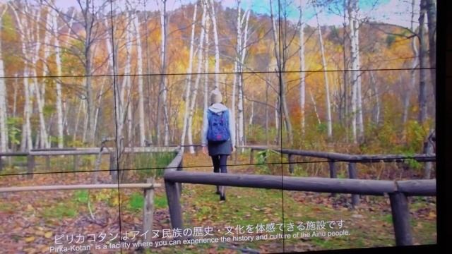 Резьба по дереву народа Айну. Хоккайдо Япония смотреть онлайн