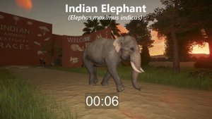 Indian Animals Category Speed Race in the Early Morning in Planet Zoo included Elephant, Rhino & et