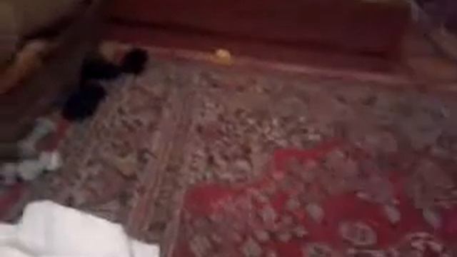 Как сложить красиво кимоно. У МЕНЯ ПОЛУЧИЛОСЬ ТЯП-ЛЯП.