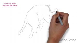 How to Draw a Bull / Как нарисовать быка