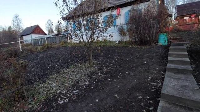 Солома - символ 13 Октября. Как по соломе узнавали о здоровье человека? День засыпающих деревьев.