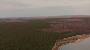 Зеркальные Пруды (рыбхоз Пара). Весна 2019
