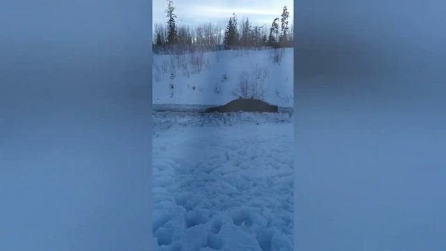 Поездка в Буковель 2020