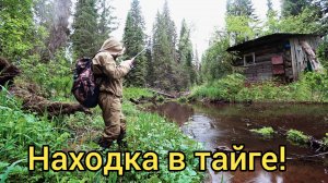 ВОТ ЭТО НАХОДКА!!! РЫБАЛКА В ТАЙГЕ СДЕЛАЛА НАС БОГАТЫМИ!!!