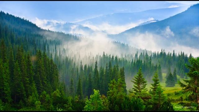 Исцеляющая Музыка для Медитации | 1 ЧАС Лечебная Музыка Антистресс