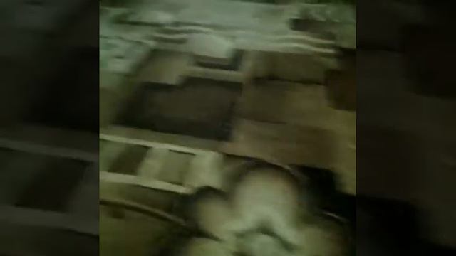 VLOG:неделя влогов/день 2/воскресенье смотреть онлайн