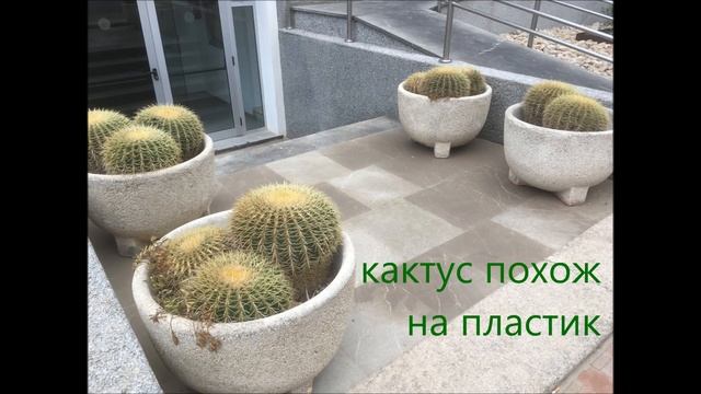 Необычные моменты в этом году. Оригинально шоколадно! смотреть онлайн