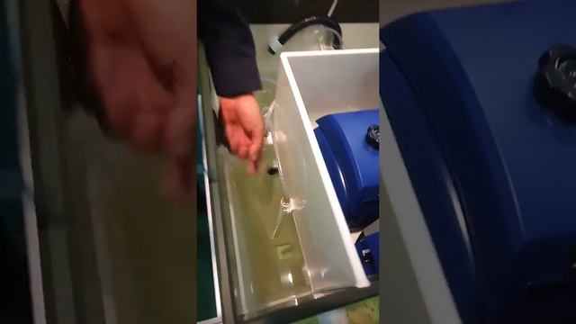 Полезно знать про ТОПАС смотреть онлайн