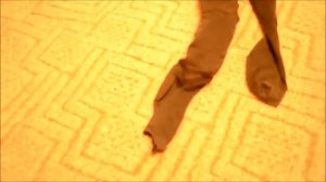 Хорьки Приколы