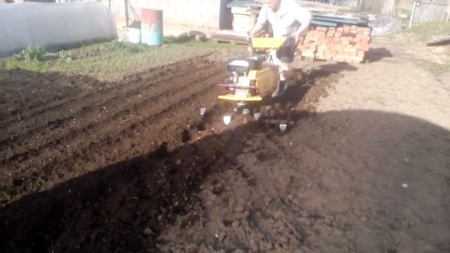 Мотоблок Целина пашет фрезами