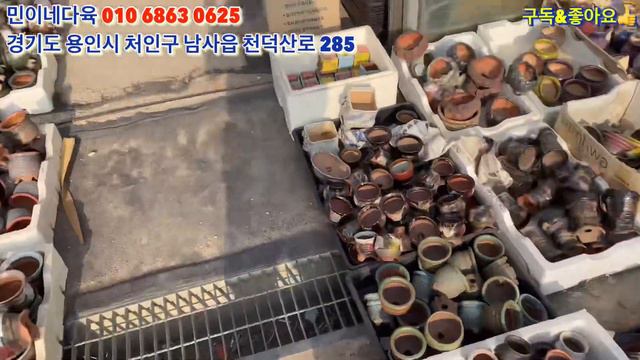 민이네다육/ 봄 분갈이철 맞이 방문고객 화분 전품목 30%세일! 화분만 25,000이상 구매시! 기간은 4월 15일까지❤️/010-6863-0625 смотреть онлайн