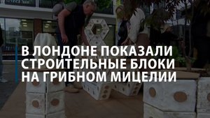 В Лондоне показали строительные блоки на грибном мицелии