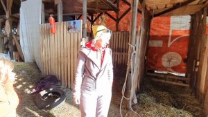 Денник для лошадей / Уборка денника / Как сделать и сэкономить / Денник для лошади размер