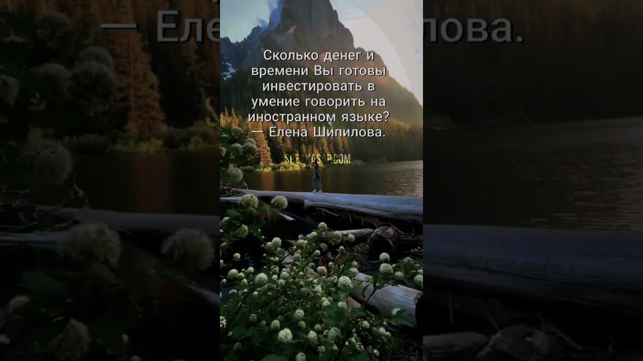 Сколько времени и денег вы готовы инвестировать а умение говорить на иностранном языке? смотреть онлайн