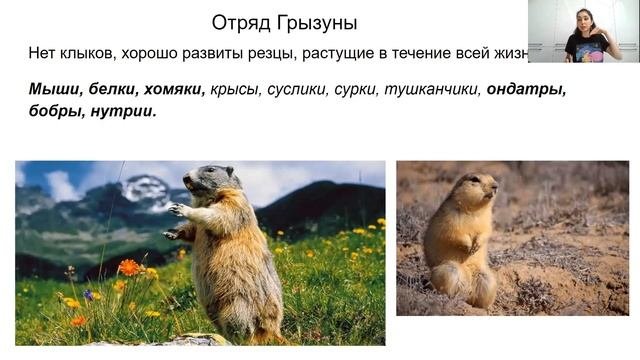 Урок 