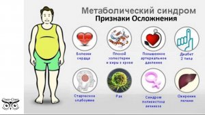 Метаболический синдром. Причины возникновения и осложнения. Профилактика и лечение КПД СОВО-СОВА