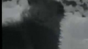 Нападение волков на стадо баранов