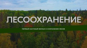 Лесоохранение. Первый научный фильм о сохранении лесов. Трейлер (2023)