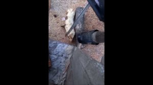 Лошадь из дерева. Поделки из дерева для сада и дачи.