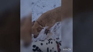 1 апреля- ничему не верю??