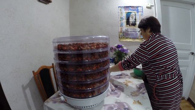 Дегидратор, электросушилка для овощей и фруктов. Ветерок-2. смотреть онлайн