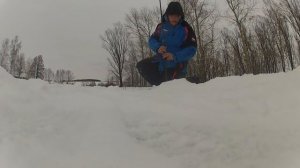 28 января 2015. Бедуины зимовальных ям. Подводная съемка карпов зимой