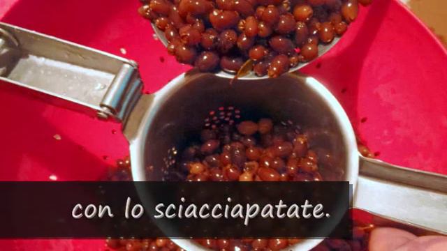 Liquore Mirto con bacche bianche. смотреть онлайн