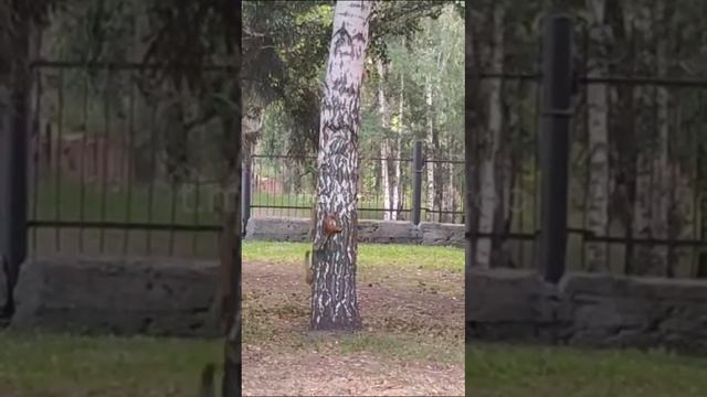 #короткиевидео #танцы