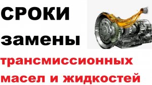 Как правильно менять масла для коробок передач