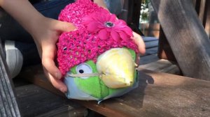 Angry Birds Toons Plush Version Season 1 Episode 7  True Blue