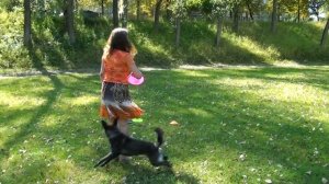 ?? Собачий спорт — Дог фрисби! Спорт для собаки. Спорт с собакой. Спорт для владельца | Добры кана