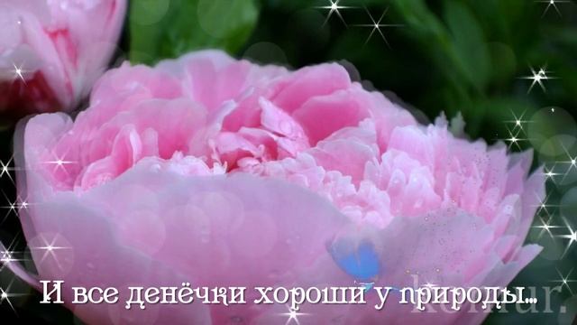 ПУСТЬ ДЕНЬ ТВОЙ БУДЕТ СЕГОДНЯ ЗАМЕЧАТЕЛЬНЫМ! Красивая музыкальная открытка komur смотреть онлайн