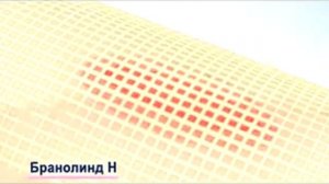 Бранолинд Н Ваш помощник в лечении ран