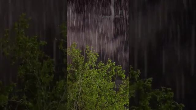 RAIN and THUNDER SOUNDS ASMR #relax #meditation #calm #shorts #youtubeshorts #viralshorts #peace