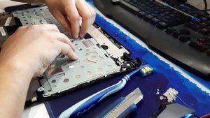 Колхозное восстановление Paccard Bell