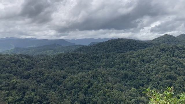 View from Sinhagala Sinharaja Rain Forest смотреть онлайн