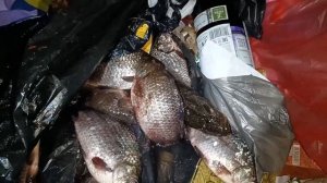 429?Поедем поглядим?Находки бомбические???. Мусорка умеет удивлять?☝