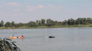 На что способен карповый кораблик