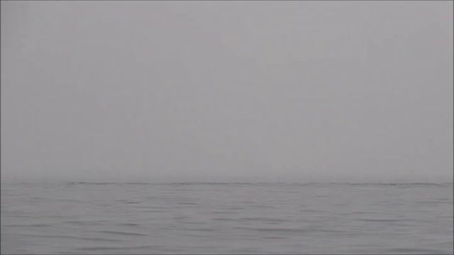 Охотское Море 2012