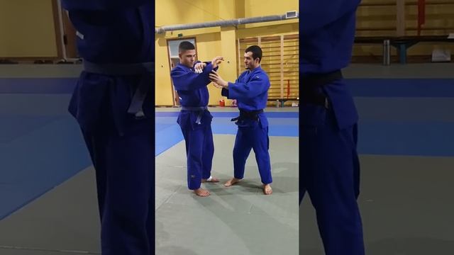 judo. дзюдо Передняя подножка . Калашаов Заур смотреть онлайн