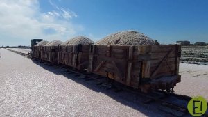 розовое озеро в Крыму: как здесь добывают пищевую соль