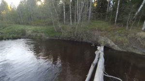 Река Воронка (Ленинградская область)