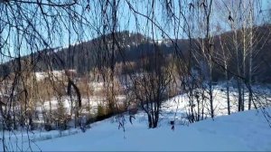 Однако, мороз крепчал. Симский пруд. 05.01.22г.
