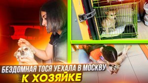 Тосе нашлись добрые ручки. Отправляем ее в Москву.