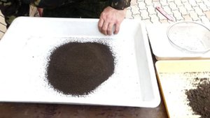 ГРУНТ ДЛЯ КАКТУСОВ (ЧАСТЬ 1) / ОБЗОР НА МОИ КАКТУСЫ