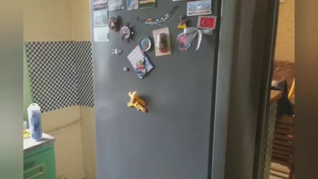 Влог Сломался холодильник/Собираем гербарий смотреть онлайн