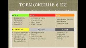 Боль в пояснице. Практика 6Ки Су-Джок терапии